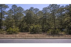 0000 Se 116 Lane, Dunnellon 0000 Se 116 Lane, Dunnellon