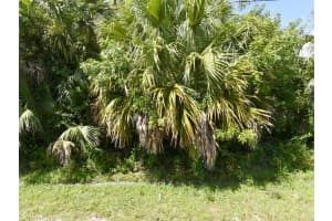 542 Sw College Park Road, Port St. Lucie, Fl 34953, Port Saint Lucie 542 Sw College Park Road, Port St. Lucie, Fl 34953, Port Saint Lucie