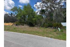 1625 Pickerel Court, Poinciana 1625 Pickerel Court, Poinciana