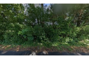 1590 Se 55th Avenue, Ocala