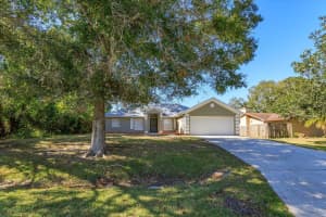 426 Ash Street, Sebastian