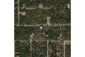 00000 Nw Mallard Avenue, Dunnellon