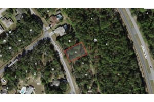 9119 N Commodore Drive, Citrus Springs