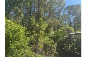 0 Golden Shores Blvd, Mims, Fl, Mims