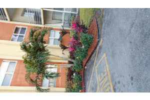 3700 Nw 21st Street 305, Lauderdale Lakes