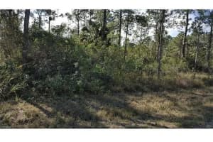 1042 Summa Boulevard, Lehigh Acres
