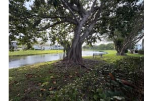 116 Lyndhurst F 116, Deerfield Beach 116 Lyndhurst F 116, Deerfield Beach