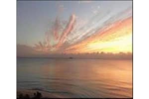 425 Bayshore Dr 31, Fort Lauderdale