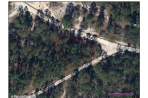 428 Tahiti Ln, Lake Placid