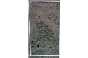 17128 Nw 314th St, Okeechobee