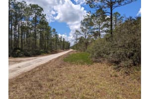 430 Apple Blossom Ave, Lake Placid