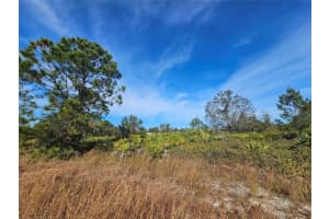 1810 N Nantucket Rd, Avon Park