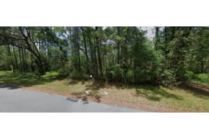 910 E Abend Dr, Dunnellon