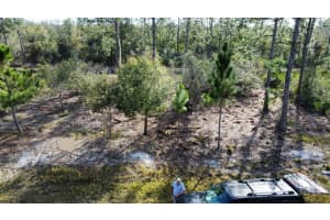 8356 Mantua Dr, Sebring
