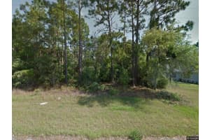 3243 W Cushion Drive, Citrus Springs