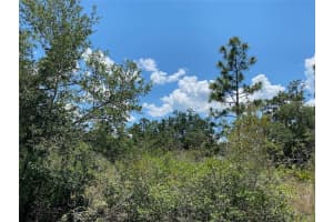 Lot 24 Indian Lake Drive, Indian Lake Estates