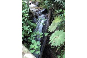 Via Santuario, Guamito El Peol, Medellin, Other