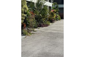 2452 Taylor St 204, Hollywood