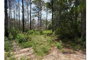 328 Claverton Dr, Lake Placid