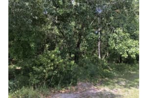 2345 N Yucca Rd, Avon Park