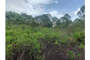 4105 Nogales Ave, Sebring