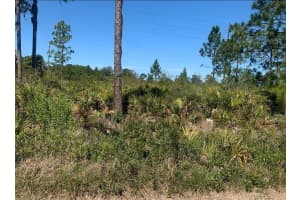 329 Phesant Blvd, Sebring