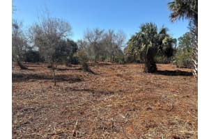 0 Nw 304th Street, Okeechobee