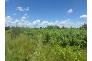 0 Nw 318th Street, Okeechobee 0 Nw 318th Street, Okeechobee