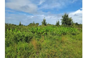 17275 Nw 260th St, Okeechobee 17275 Nw 260th St, Okeechobee