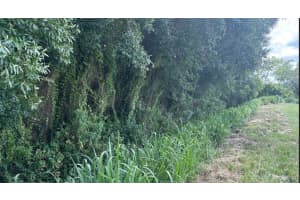 0 Ne 13th Avenue, Okeechobee