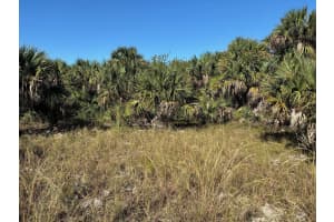 3223 Sw Mockingbird Ave, Palm Bay