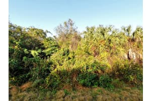 Lot 14 Halo Avenue, North Port