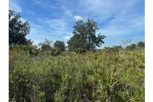 0 Nw 306th Street, Okeechobee