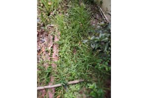 0000 Se 44 Avenue, Ocala