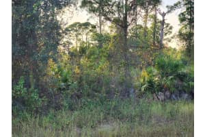 842 Genoa Avenue, Lehigh Acres