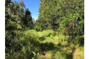 0 Old Grade Road, Fl 33868, Polk City