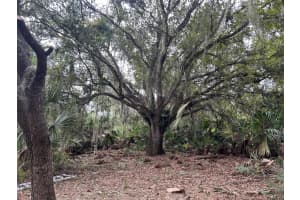 0 298th Street, Okeechobee