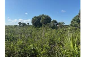 0 Nw 316th Street, Okeechobee