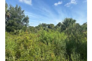 0 Nw 312th Street, Okeechobee