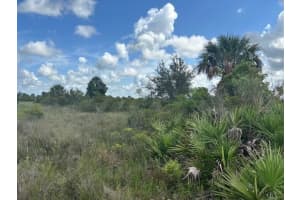 0 Nw 316th Street, Okeechobee