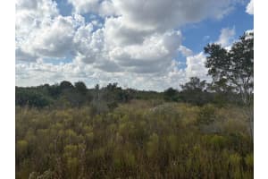 0 Nw 314th Street, Okeechobee 0 Nw 314th Street, Okeechobee