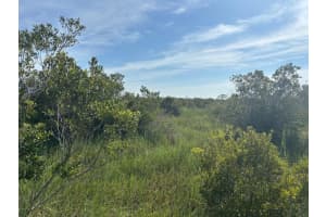 0 Nw 308th Street, Okeechobee