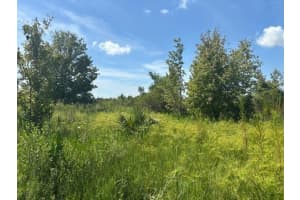 0 Nw 310th Street, Okeechobee 0 Nw 310th Street, Okeechobee