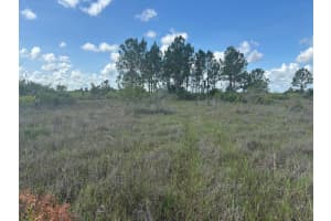 0 290th Street, Okeechobee 0 290th Street, Okeechobee