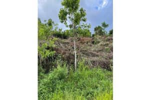 0000 139 Court, Fl 34432, Dunnellon 0000 139 Court, Fl 34432, Dunnellon