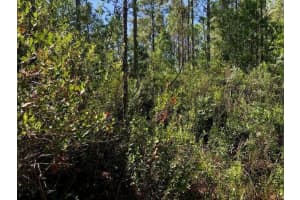0 Old Grade Road, Fl 33868, Polk City