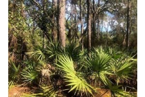 0 Old Grade Road, Fl 33868, Polk City 0 Old Grade Road, Fl 33868, Polk City