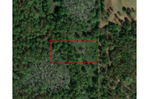 0 Poyner Road, Fl 33868, Polk City