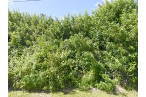 1582 Sw Jacksonville Avenue, Port St. Lucie, Fl 34953, Port Saint Lucie