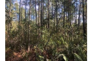 0 Old Grade Road, Fl 33868, Polk City